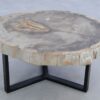Table basse bois pétrifié 45244