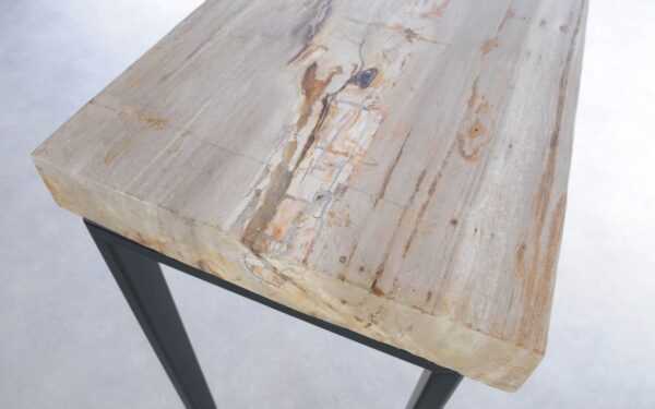 Table console bois pétrifié 44198