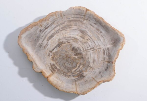Bord versteend hout 45051h