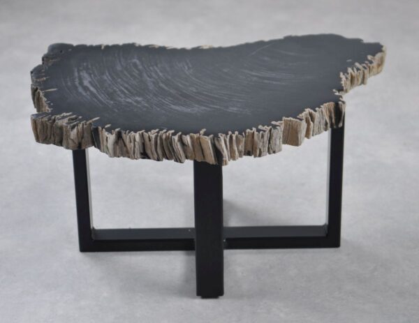 Coffee table petrified wood 35251