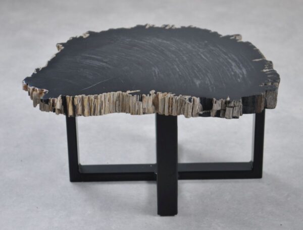 Coffee table petrified wood 35252