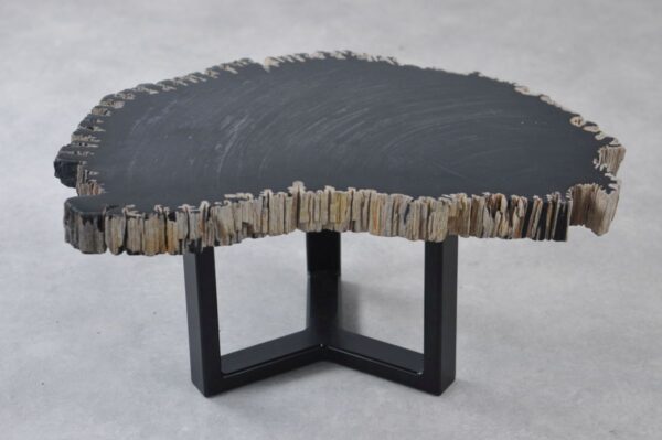 Coffee table petrified wood 35265