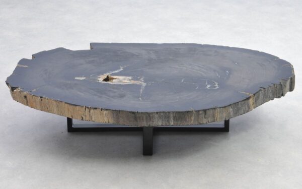 Coffee table petrified wood 38203