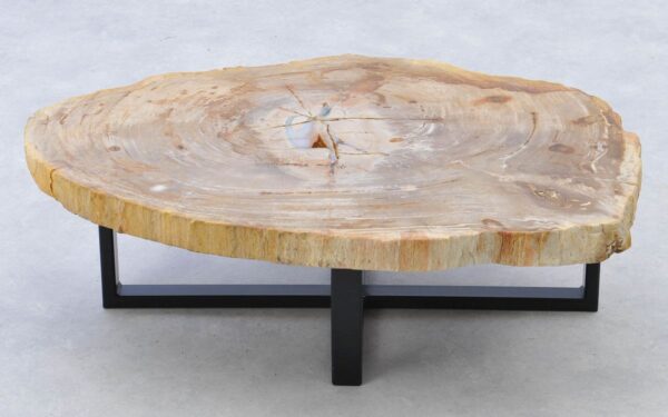Coffee table petrified wood 38217