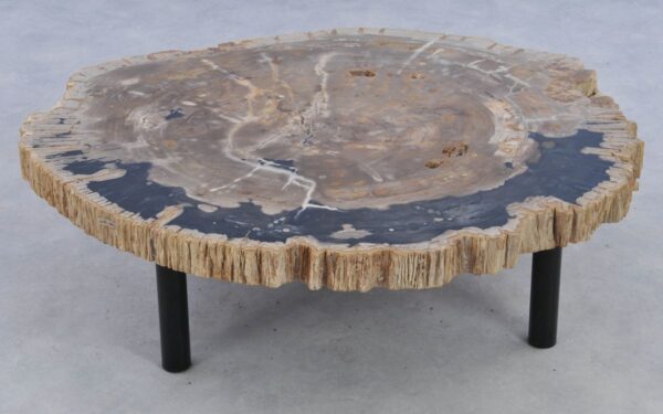 Coffee table petrified wood 39141