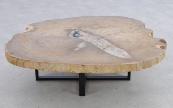 Coffee table petrified wood 41151