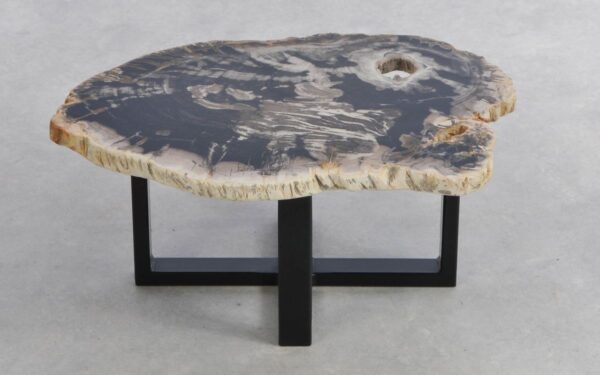 Coffee table petrified wood 41205g