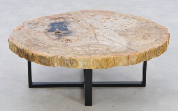 Coffee table petrified wood 42180
