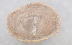 Coffee table petrified wood 42218