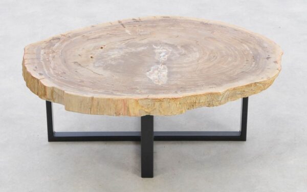 Coffee table petrified wood 42218