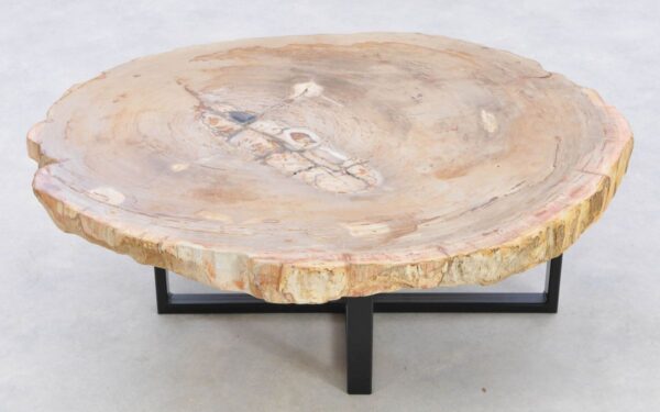 Coffee table petrified wood 42240