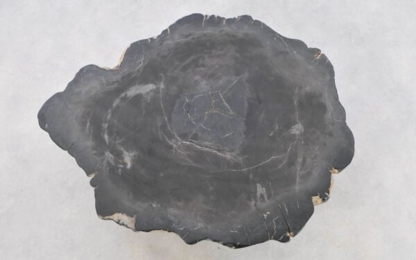 Coffee table petrified wood 42268