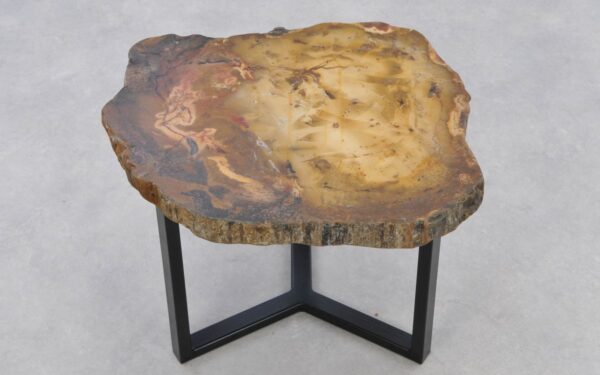 Coffee table petrified wood 42274