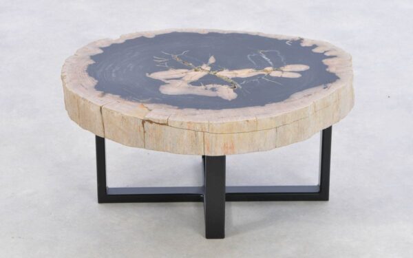 Coffee table petrified wood 43268