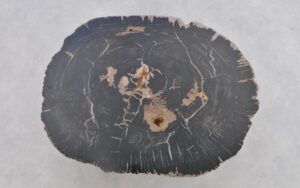 Coffee table petrified wood 43302