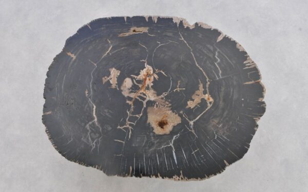 Coffee table petrified wood 43302