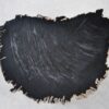 Couchtisch versteinertes Holz 35252