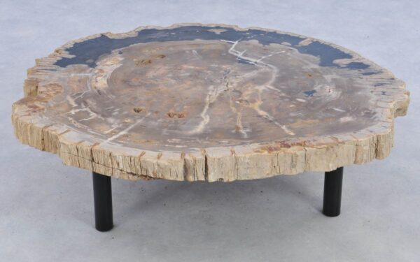 Salontafel versteend hout 39141
