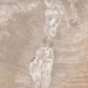 Couchtisch versteinertes Holz 42218
