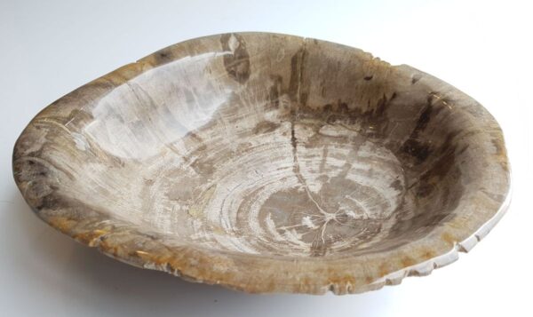 Bowl petrified wood 33041