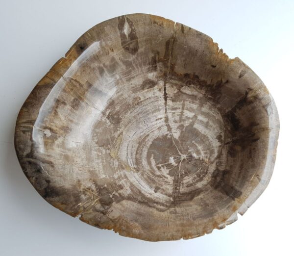 Bowl petrified wood 33041