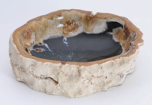 Bowl petrified wood 45037