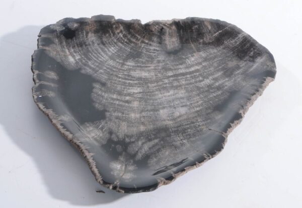 Plate petrified wood 45051L