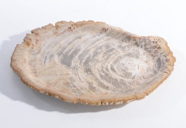 Plate petrified wood 45051g
