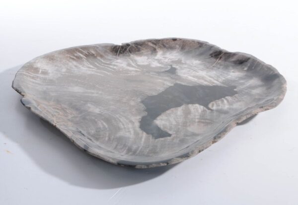 Plate petrified wood 45053f