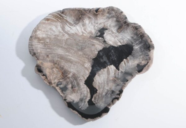 Plate petrified wood 45053j