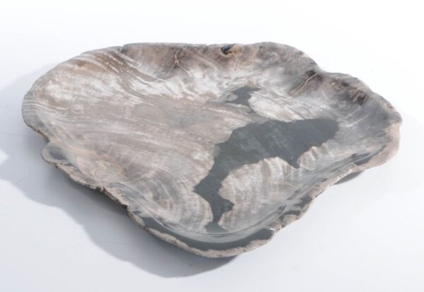 Plate petrified wood 45053j