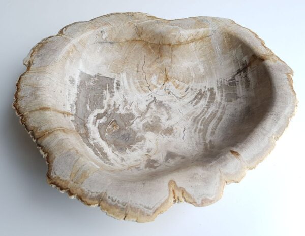Bol madera petrificada 33068