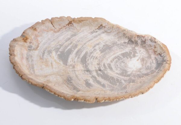 Plato madera petrificada 45051f