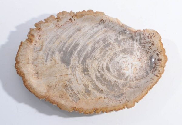 Plato madera petrificada 45051g