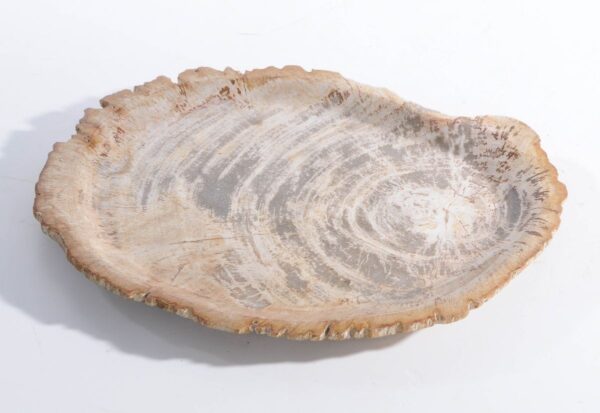 Plato madera petrificada 45051g
