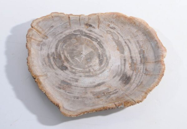 Plato madera petrificada 45051i