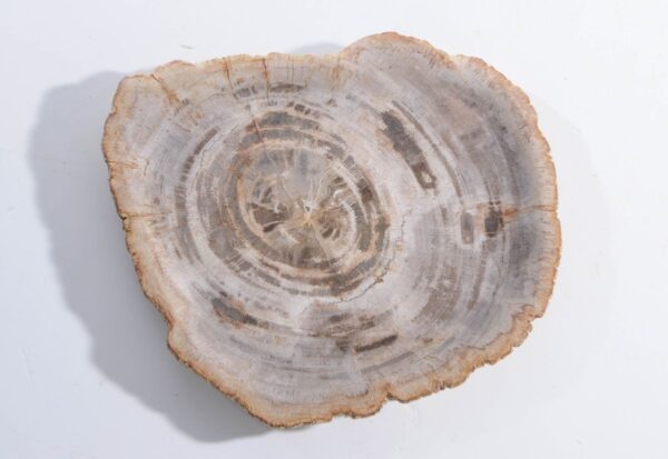 Plato madera petrificada 45051j