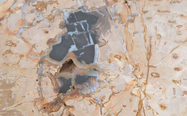 Salontafel versteend hout 42180
