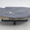 Table basse bois pétrifié 38203