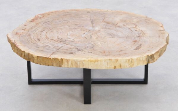 Table basse bois pétrifié 42185