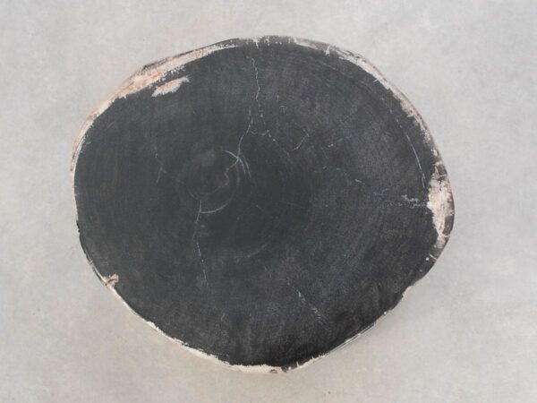 Beistelltisch versteinertes Holz 46012
