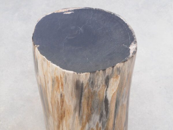 Beistelltisch versteinertes Holz 46012