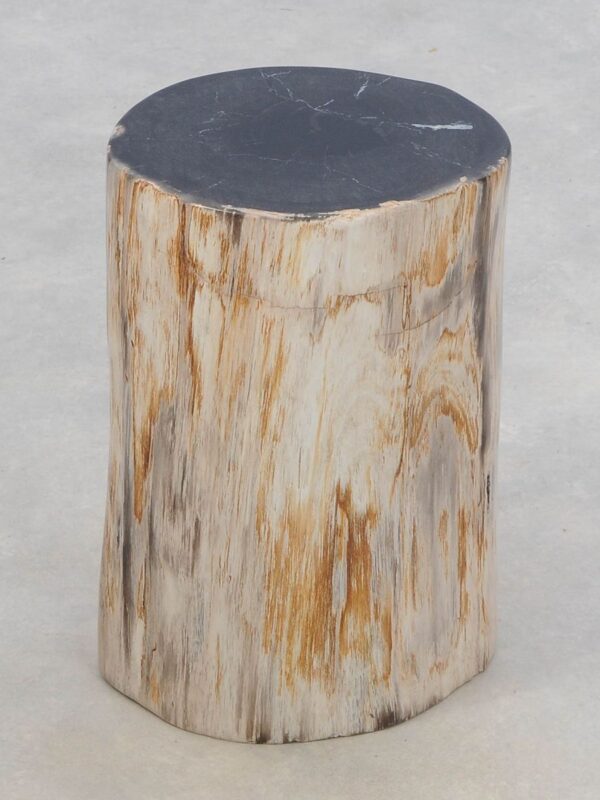 Beistelltisch versteinertes Holz 46013