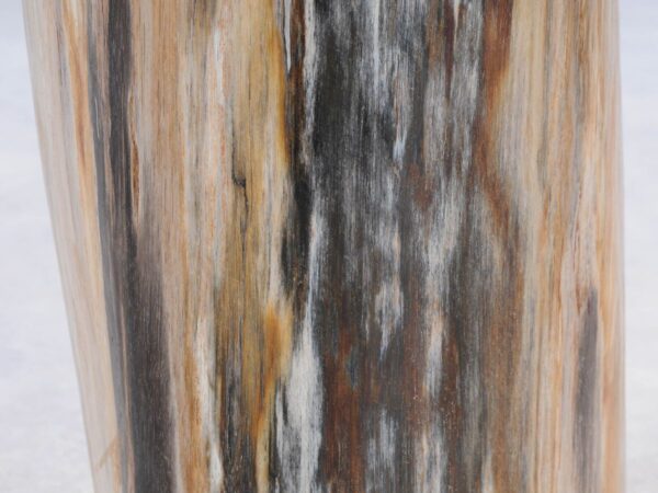 Beistelltisch versteinertes Holz 46015