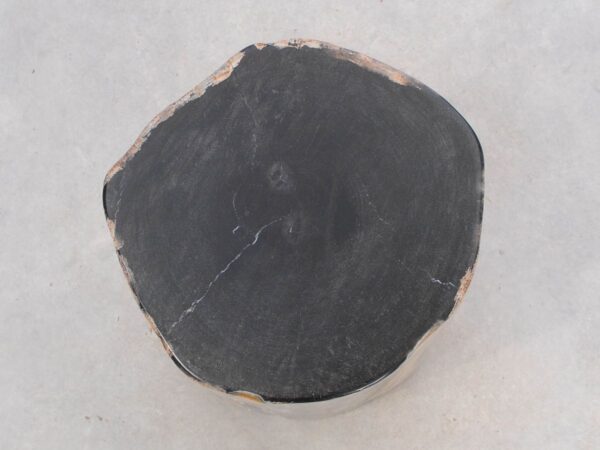 Beistelltisch versteinertes Holz 46015