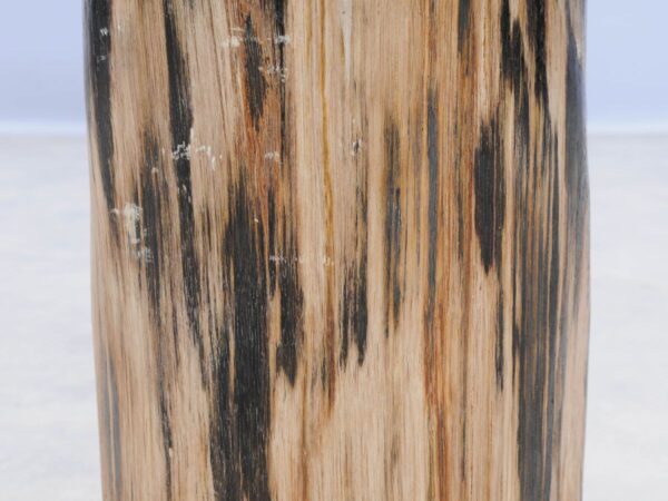 Beistelltisch versteinertes Holz 46016