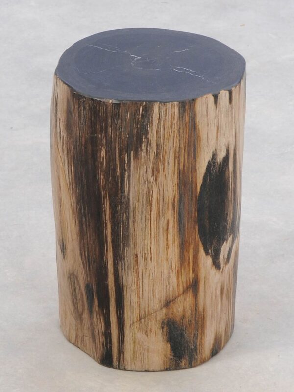 Beistelltisch versteinertes Holz 46016