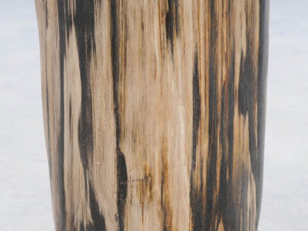 Beistelltisch versteinertes Holz 46017