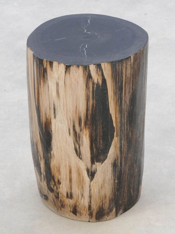 Beistelltisch versteinertes Holz 46017