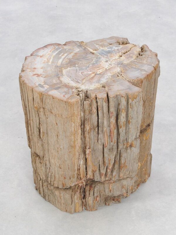 Beistelltisch versteinertes Holz 46025